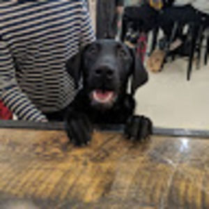 Meet your Posher, Lee